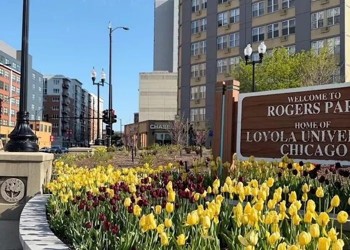 Apartment Cozy 1br Near Loyola University, Fast Wifi, Walk To Dining & Transit